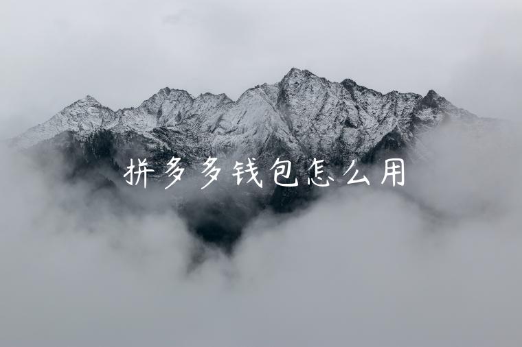 拼多多錢包怎么用